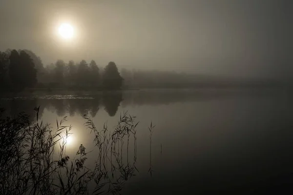 Foggy Morgon Över Sjön — Stockfoto