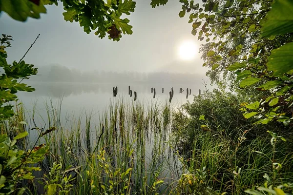 Natuurlijk Frame Met Mist Het Meer Van September — Stockfoto