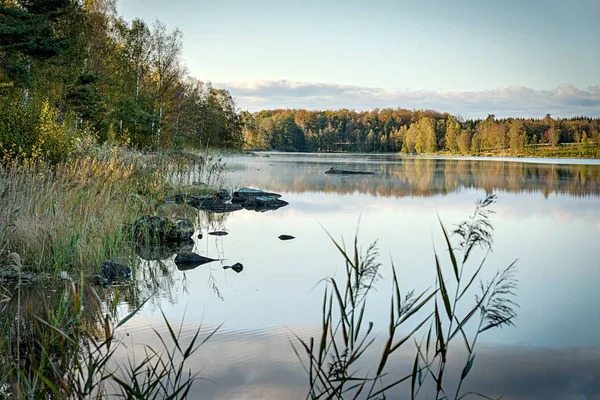 Fredda Mattina Ottobre Nella Natura Svedese — Foto Stock