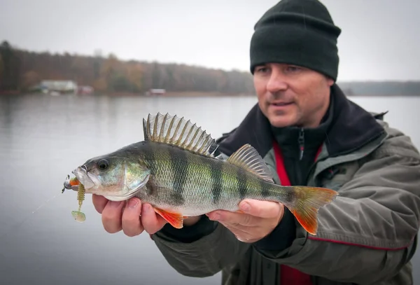 Noviembre Pesca Perca Grande —  Fotos de Stock