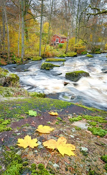 Vertikal Över Den Vilda Svenska Älven Hösten — Stockfoto