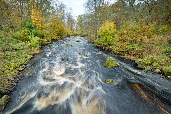 Szwedzka Rzeka Październikowej Scenerii — Zdjęcie stockowe