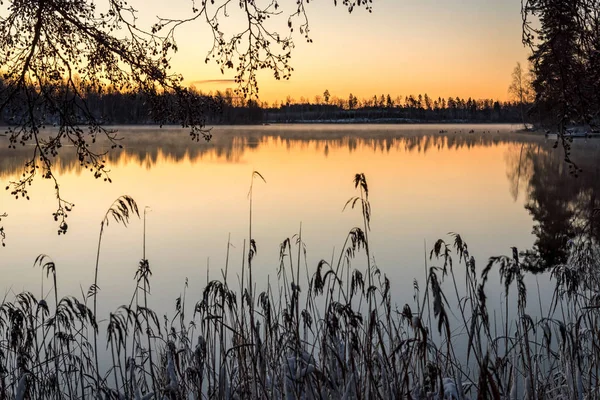 Orange Soluppgång Över Vintern Svensk Sjö — Stockfoto