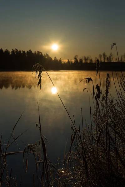 Lake Foggy Sunrise Winter Season — 图库照片