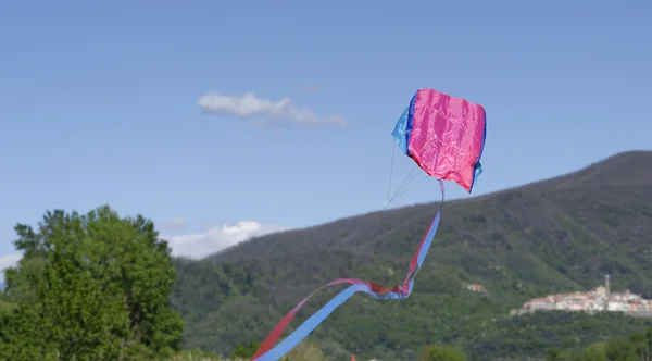 空の美しい凧 — ストック写真