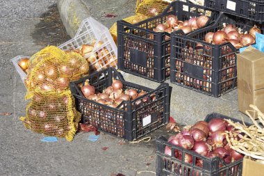 soğan piyasası