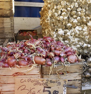 soğan İtalya pazarında