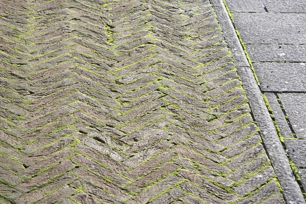 Geometry pattern background of cobblestone pavement with moss growing between the stones in italy