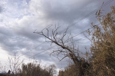 La Spezia yakınlarında Sarzana 'da küçük bir göl.
