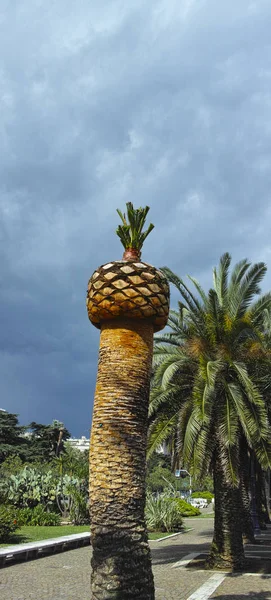 Bir palmiye ağacının ayrıntısı — Stok fotoğraf