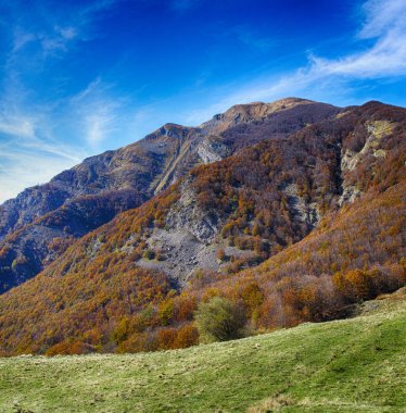 İtalya sonbahar yaprakları