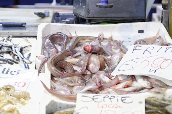 Peixes coloridos no mercado — Fotografia de Stock