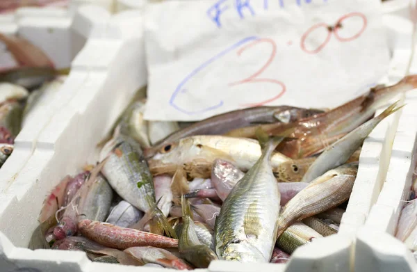 Farbige Fische auf dem Markt — Stockfoto