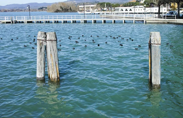 Lago Trasimeno na Úmbria — Fotografia de Stock