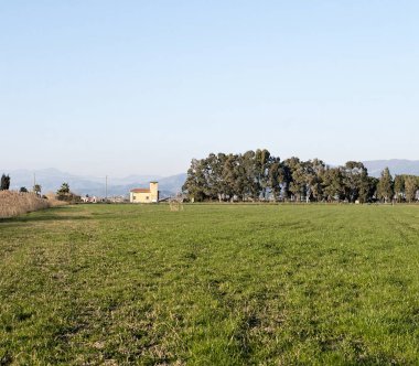 panoramik luni çayırda