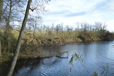 bozzi saudini in la spezia