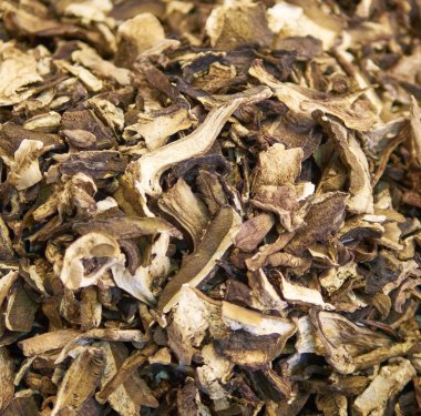 Kuru mantar boletus mantarı