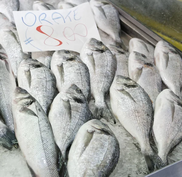 Peixe italiano Sparus aurata num mercado de peixe — Fotografia de Stock