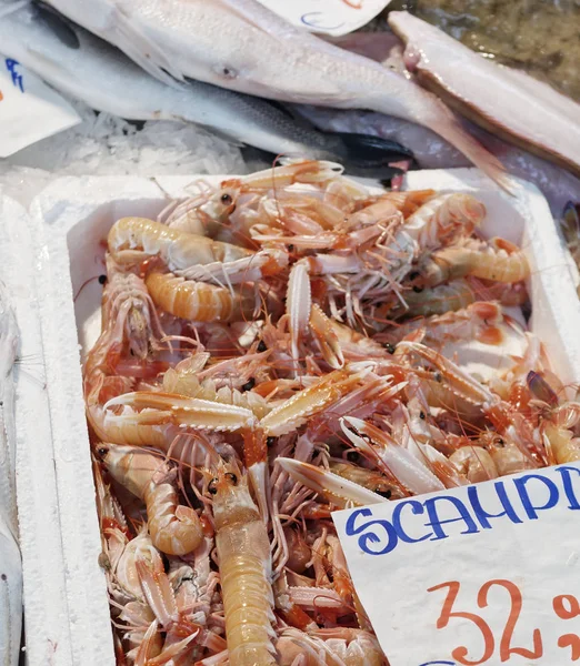 Op de vismarkt in Italië - diverse vissen en schaaldieren (in — Stockfoto