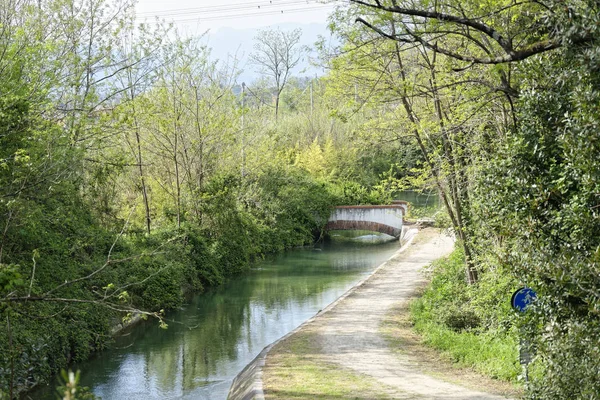 Sehr schöner Blick auf einen Kanal im Wald — Stockfoto