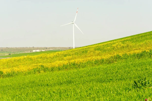 Detail van Eolische energiecentrale in een weiland — Stockfoto