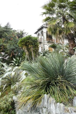 villa rocca Bahçe detay