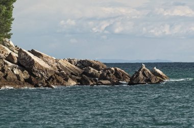 la spezia Körfezi kıyı şeridi