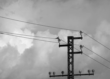 Seramik yalıtkan bir çayırda