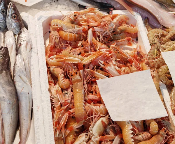 Langoustinas frescas no mercado — Fotografia de Stock