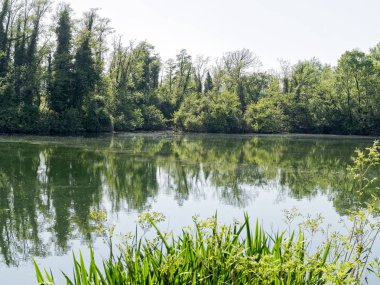 Bozzi saudini Sarzana küçük bir göl 