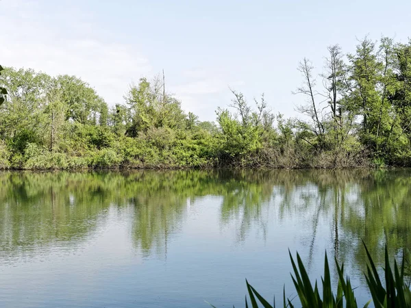 Bozzi saudini ein kleiner see in sarzana — Stockfoto