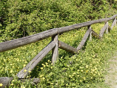 Bozzi saudini Sarzana küçük bir göl 