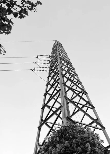 Elektromos torony egy réten — Stock Fotó