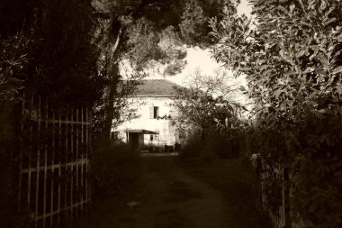 paslı bir çayır evde fotoğrafı