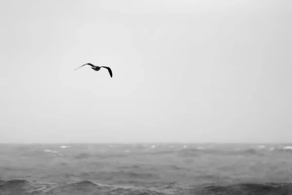 Tempestade em Lerici — Fotografia de Stock