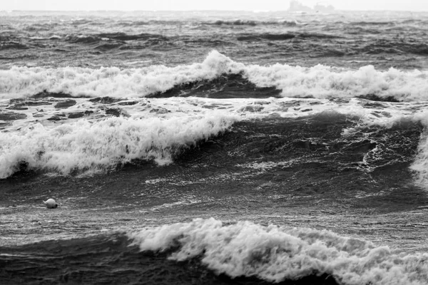 Rough storm in Lerici — Stock Photo, Image