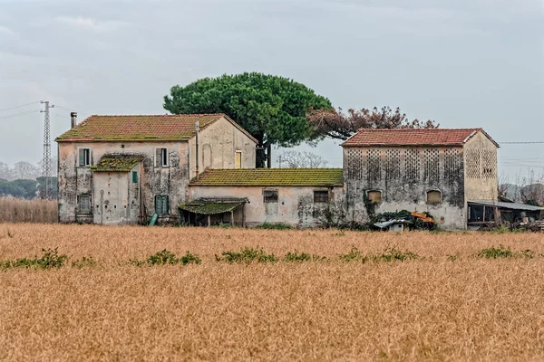 Farm Luni Egy Gyönyörű Hely Közel Spezia — Stock Fotó