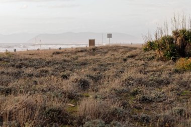 İtalya 'da Marmi plajında kum tepecikleri