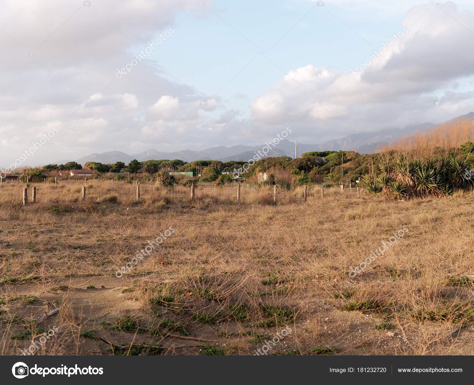 Duna Sabbia Nella Spiaggia Forte Dei Marmi Italia Foto