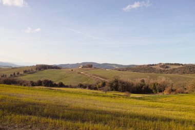 Toskana çayır çok güzel görünüm