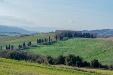 Toskana çayır çok güzel görünüm