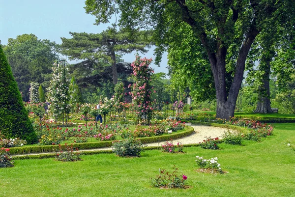Beau jardin à Paris — Photo