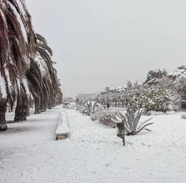 City garden under snön — Stockfoto