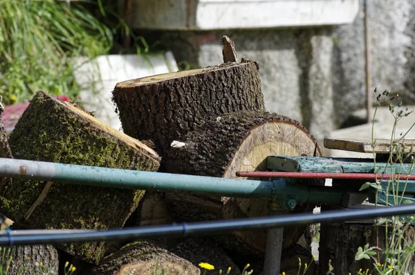 chopped wood in a garden of my friend