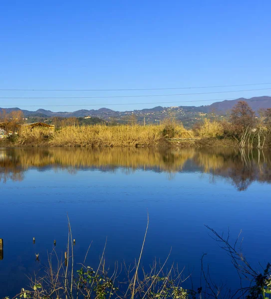 Sehr Schönes Bild Von Bozzi Saudini Großer Sumpf Sarzana Bei — Stockfoto