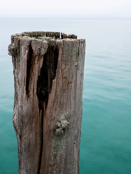 Detail Van Houten Afgemeerde Structuur Een Meer — Stockfoto