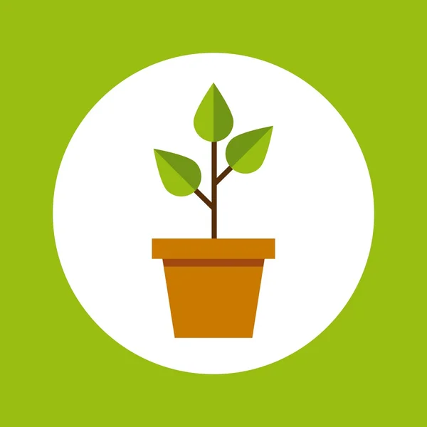 Växternas tillväxt leafs ikonen — Stock vektor