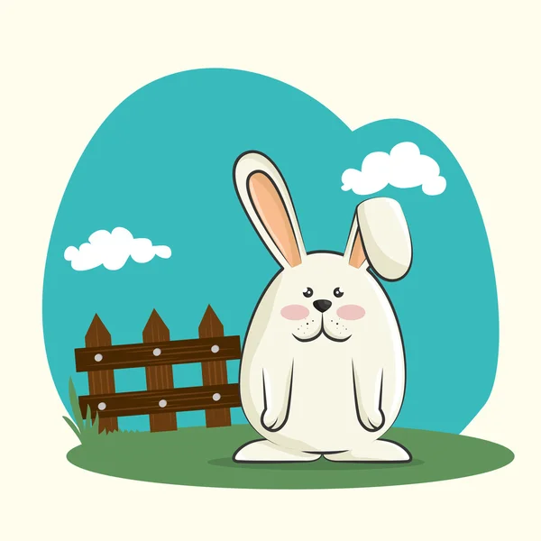 Cute rabbit design — Stock Vector