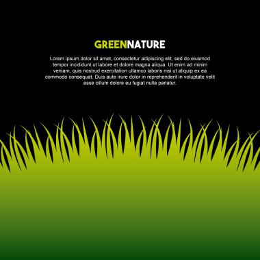 doğa çim alan arka plan