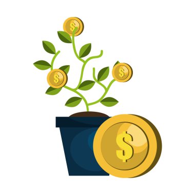 paraları ile para bitki